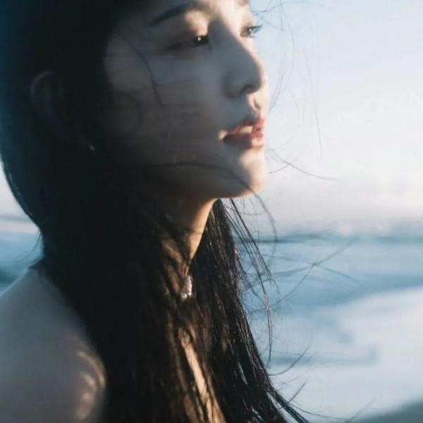 完美圣诞节
