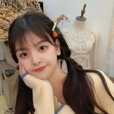 大明天子